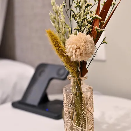 Appartement Vatican Luxury *